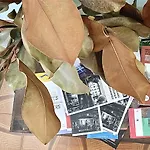 Rombolino -free Parking - Vicino Al Palalivorno 