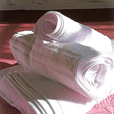 Daire Rombolino Guest House- Free Parking! Livorno